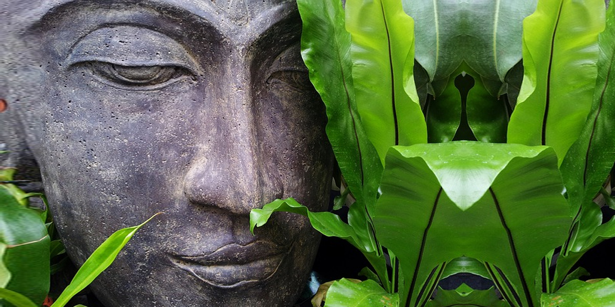 The 3 Fundamental Skills of Mindfulness Meditation